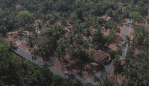 Thumbnail of 